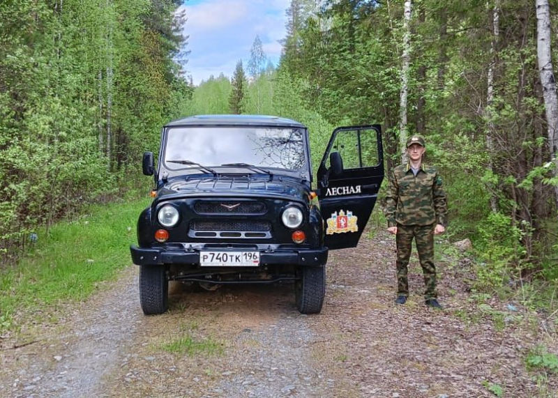 Площадь лесных пожаров в Свердловской области сократилась за выходные дни в 10 раз