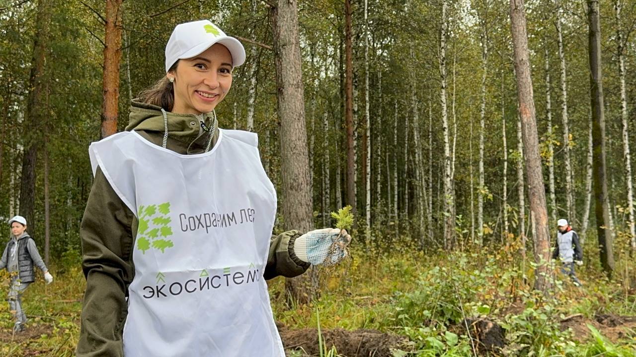Сохраним лес!